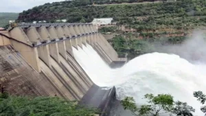धान की फसल के लिए पंजाब ने मांगा BBMB से 9000 क्यूसेक अतिरिक्त पानी।