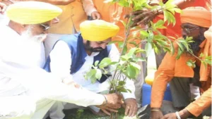 Punjab में हरियाली की नई क्रांति: Mann सरकार ने बढ़ाया Tree Cover 177.22 Square Kilometers तक!