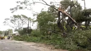 Cyclone Montha ने मचाई तबाही: Andhra Pradesh से टकराने के बाद Odisha पहुंचा तूफान, तेज हवाओं और बारिश से जनजीवन प्रभावित