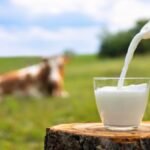 आम लोगों को महंगाई का बड़ा झटका! दूध की कीमतों में भारी बढ़ोतरी