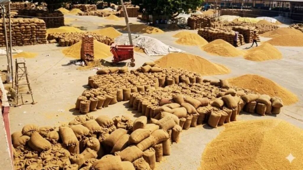 Punjab में आज से गेहूं खरीद शुरू, बाहरी राज्यों से आने वाले अनाज पर रहेगी कड़ी नजर